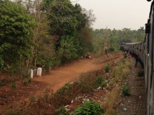 Stopped in the forest outside Shoranur Junction.