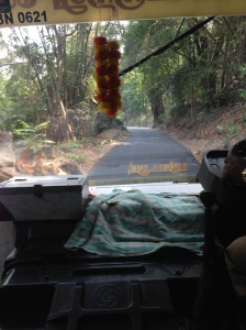 The main road through the Nilgiris, from the Ooty Bus