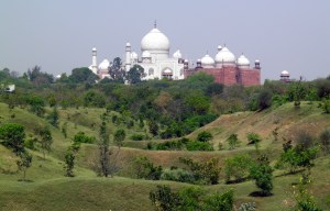 The Taj from the nature reserve
